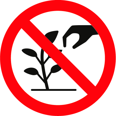 Hinweis Mitnahme von Pflanzen(-teilen), Tieren und Steinen verboten