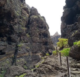 Sendero dentro del Barranco de Masca